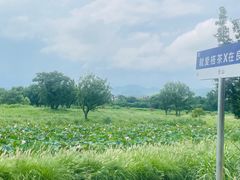 -良渚古城遗址公园