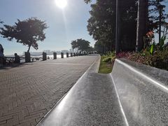 -深圳湾公园(南山区)