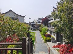 -花博汇(知音花月夜)