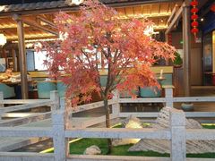 -三凤酒家·百年无锡菜(清扬茂业店)