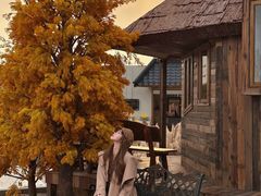 -Blue Concept Cafe&Farm·關於藍