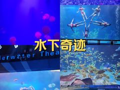 -泉城欧乐堡海洋极地世界