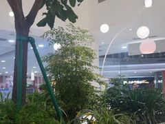 -大树餐厅(红旗街万达店)