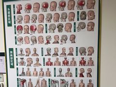 -通透堂中医·精准推拿(旗舰店)