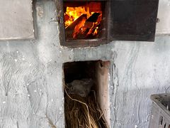 -明珠湖天鹅苑·农家菜馆