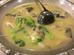 -丁老爷子苏香圆