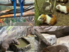 -福州罗源湾海洋世界旅游区