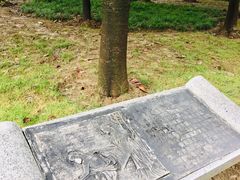 -双拥公园