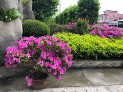 -周老三跷脚牛肉·全牛火锅(非遗传承店)