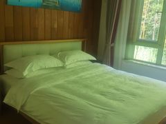 -黄海国家森林公园