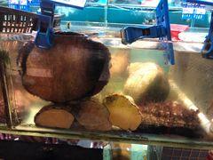 -强记海鲜·大排档(蛇口新街店)
