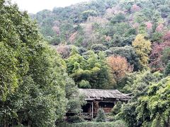 -九龙潭景区