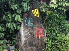 -呀诺达热带雨林