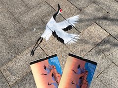 -盐城丹顶鹤湿地生态旅游区