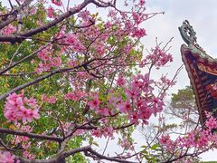 -宝墨园景区