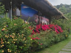 -优游吧斯邹族文化部落