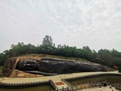 -三水森林公园