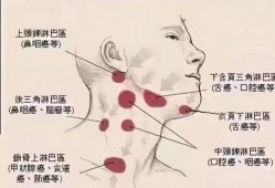 -名发世家烫染