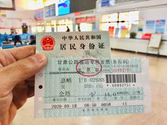 -金塔沙漠胡杨林景区