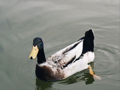 -迎泽公园