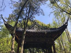 -汇龙潭