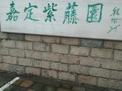 -嘉定紫藤园