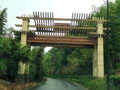 -雅鲁激流探险漂流