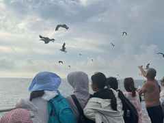 -海驴岛(荣成市)