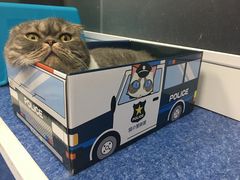 -爱诺耐芙动物医院(万博店)