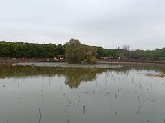 -大湾区中央湿地公园
