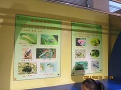 IMG_2789-上海昆虫博物馆