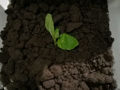 -炉鼎记私房菜(总店)