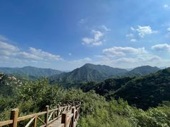 -大岭沟猕猴桃谷风景区