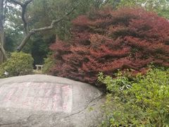 -庐山风景区花径公园