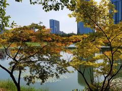 -艾溪湖湿地公园