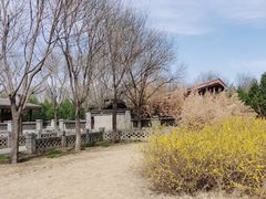 -东郊湿地公园