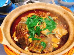 甲鱼煲-金龙·打边炉(武进路店)