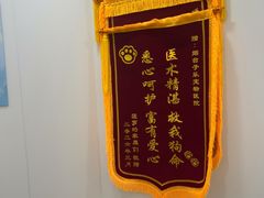 -子乐宠物医院
