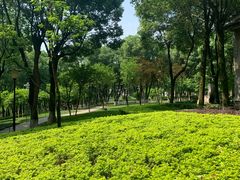 -重庆市江北嘴中央商务区中央公园