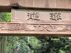 -凤栖山