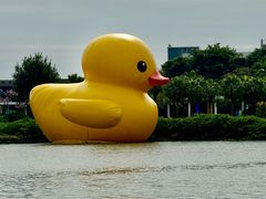 -深圳人才公园
