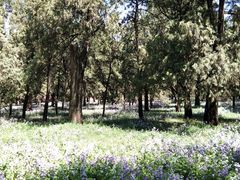 -搓火大都会(广安门总店)