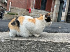 -鼓浪屿·八卦楼