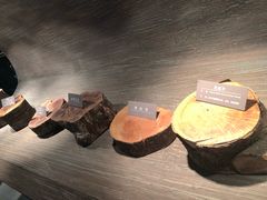 -青藏高原自然博物馆