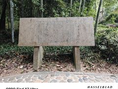 -大奇山国家森林公园