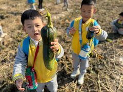 -北京市丰台区阳光起点锦城幼儿园(丰台园)