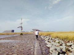 -南汇嘴观海公园