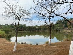 -松山湖南湖湾露营营地