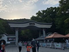 -茶颜悦色(岳麓山顶店)