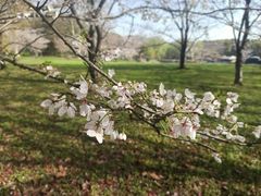 -共青国家森林公园-售票处